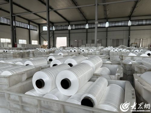 解碼經(jīng)緯交錯(cuò)間的堅(jiān)守與創(chuàng)新——民企陽(yáng)谷廣信的小小編織袋織出大天地